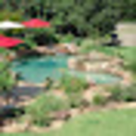 Caribbean Pools logo