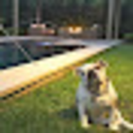 Elite Outdoor Living logo