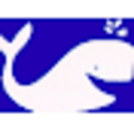 Pool Techniques logo