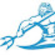 Poseidon Pool Solutions, LLC logo